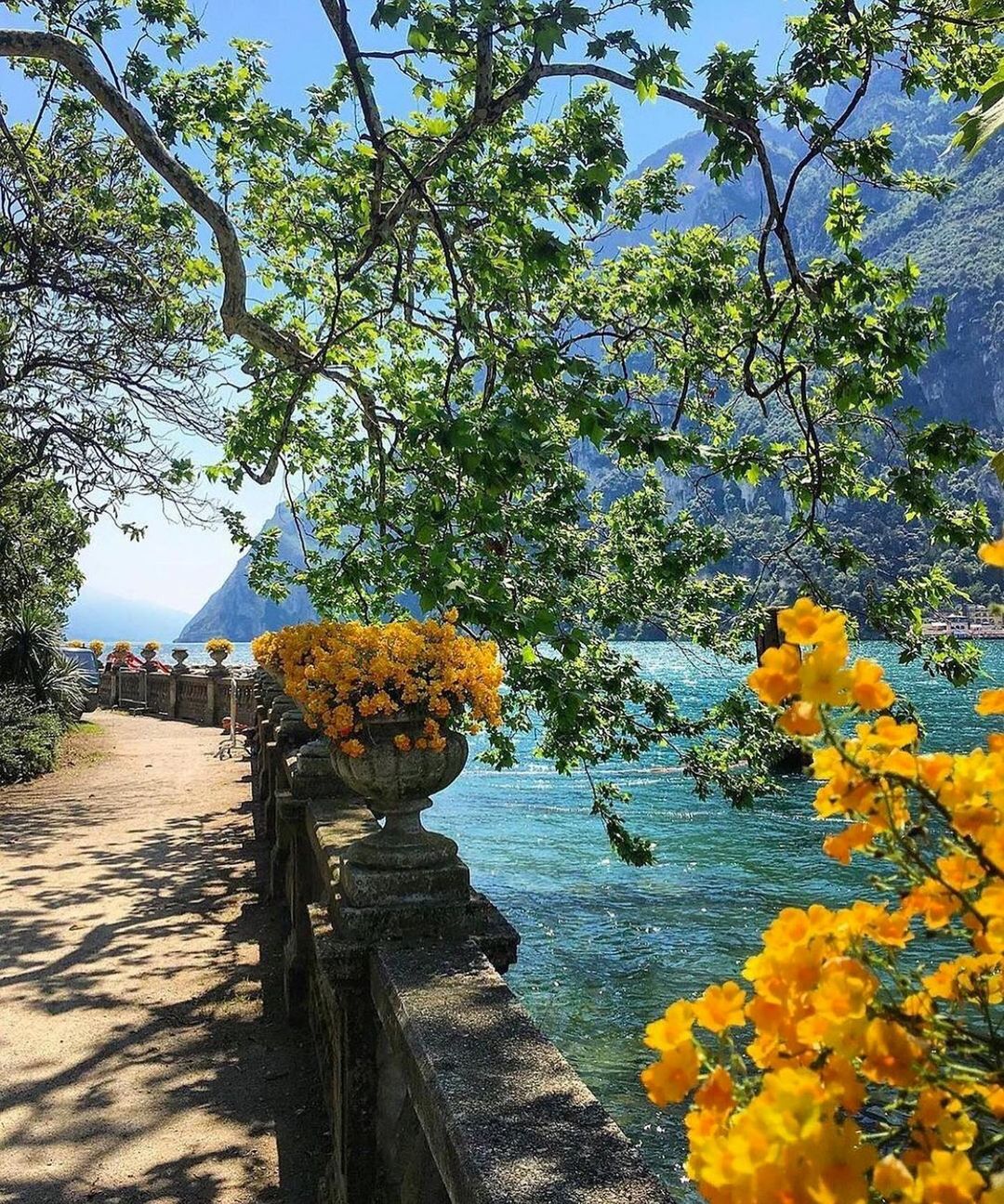 Guerilla Choice is Climate Member - Contribute to a better future for our planet