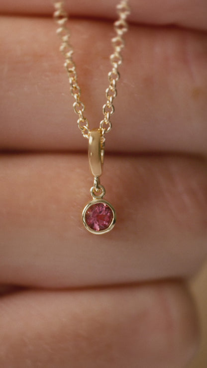 GC Mois de Vie 14K Gold Birthstone Charm