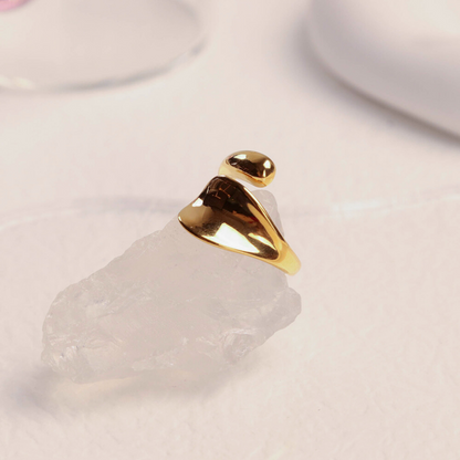 FELICE PARIS GOLD RING | felice-paris-gold-ring | Guerilla Choice